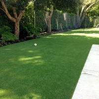 Artificial Grass Camp Pendleton South, California Indoor Dog Park