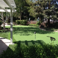 Artificial Grass Carpet Imperial Beach, California Lawn And Landscape