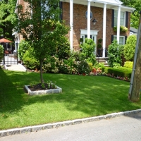 Artificial Grass Pine Valley, California Rooftop, Front Yard Ideas