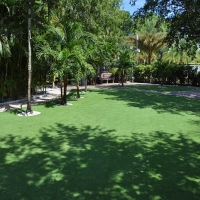Artificial Lawn Campo, California Rooftop, Commercial Landscape