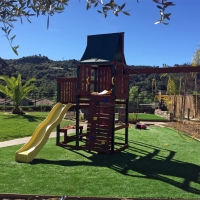 Artificial Lawn Julian, California Garden Ideas