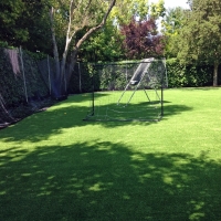 Artificial Turf Cost Solana Beach, California Landscape Design, Backyard Design