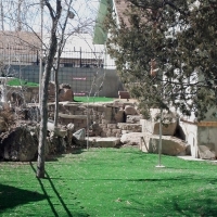 Artificial Turf Del Mar, California Backyard Playground, Beautiful Backyards