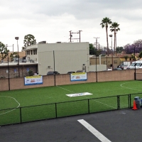 Artificial Turf El Cajon, California Red Turf, Commercial Landscape