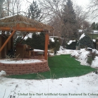 Artificial Turf Eucalyptus Hills, California Roof Top, Backyard Landscaping Ideas