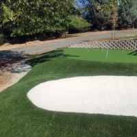 Fake Grass Carpet Boulevard, California Landscape Design, Small Front Yard Landscaping