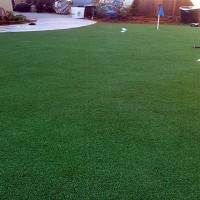 Fake Grass Carpet Eucalyptus Hills, California Diy Putting Green, Backyard Landscaping Ideas