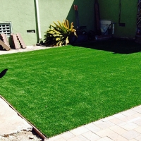 Fake Grass Carpet Jacumba, California Artificial Turf For Dogs, Backyard Designs