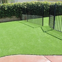 Fake Grass Carpet La Jolla, California Backyard Deck Ideas, Small Front Yard Landscaping