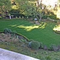 Fake Grass Lake San Marcos, California Backyard Playground, Backyard Landscape Ideas