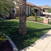 Fake Lawn Santee, California Rooftop, Front Yard Ideas