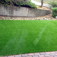 Fake Lawn Solana Beach, California Landscape Photos, Backyard Landscaping Ideas