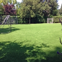 Fake Turf Encinitas, California Landscape Ideas, Backyard Garden Ideas