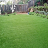 Faux Grass National City, California Lawn And Garden, Backyard Designs