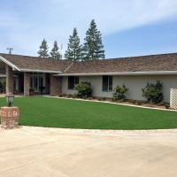 Faux Grass Spring Valley, California Landscaping, Front Yard Landscaping Ideas
