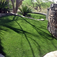 Grass Carpet Bonsall, California Landscape Photos