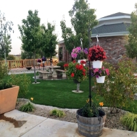 Grass Carpet Harbison Canyon, California Landscape Ideas, Commercial Landscape