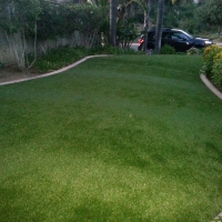 Grass Carpet La Jolla, California Lawn And Landscape, Front Yard Ideas