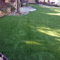 Grass Turf Lake San Marcos, California Hotel For Dogs, Backyard Makeover