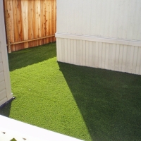 Green Lawn Coronado, California Pictures Of Dogs, Small Backyard Ideas