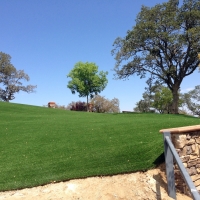 Lawn Services La Mesa, California Rooftop, Front Yard