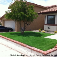 Outdoor Carpet Jamul, California Backyard Playground, Front Yard Landscaping