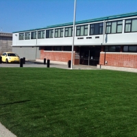 Plastic Grass La Mesa, California Landscaping, Commercial Landscape