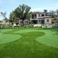 Synthetic Grass Bostonia, California Putting Green Carpet, Front Yard Ideas
