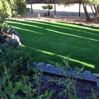Synthetic Grass Cost Alpine, California Landscaping, Backyard Designs