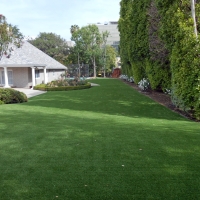 Synthetic Grass Lemon Grove, California Landscaping, Front Yard