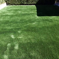 Synthetic Lawn Alpine, California Roof Top, Backyard Ideas