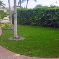 Synthetic Turf National City, California Lawn And Landscape, Front Yard Landscaping Ideas