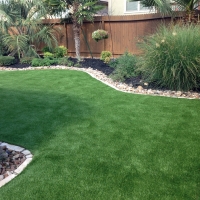 Turf Grass Camp Pendleton North, California Cat Grass, Backyard