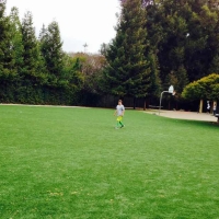 Turf Grass Solana Beach, California Backyard Sports, Recreational Areas