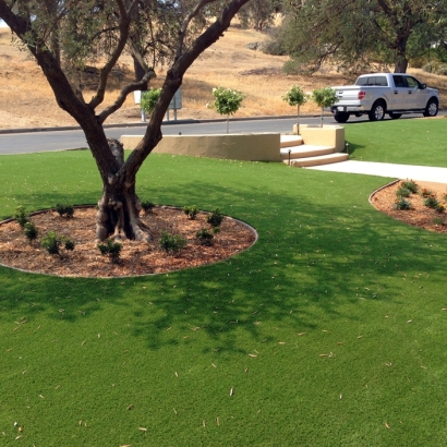 Artificial Grass Carpet Borrego Springs, California Landscape Rock, Front Yard Landscaping Ideas