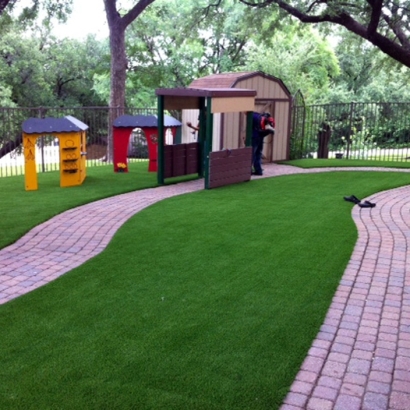 Artificial Grass Carpet Borrego Springs, California Lawn And Garden, Commercial Landscape