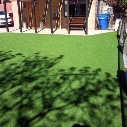 Artificial Grass Carpet Borrego Springs, California Landscape Ideas, Beautiful Backyards