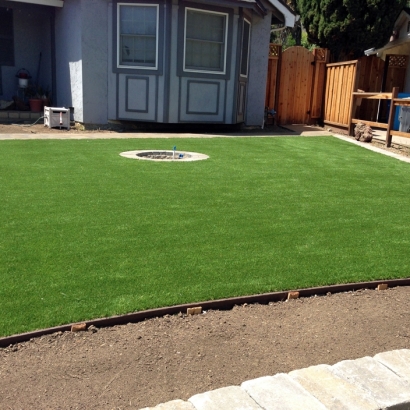 Artificial Grass Carpet Campo, California Design Ideas, Landscaping Ideas For Front Yard