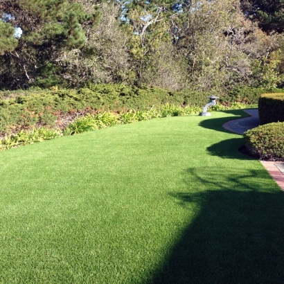 Artificial Grass Carpet Chula Vista, California City Landscape, Front Yard Landscaping Ideas
