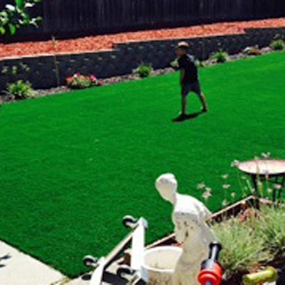 Artificial Grass Carpet El Cajon, California Landscaping Business, Backyard Landscape Ideas