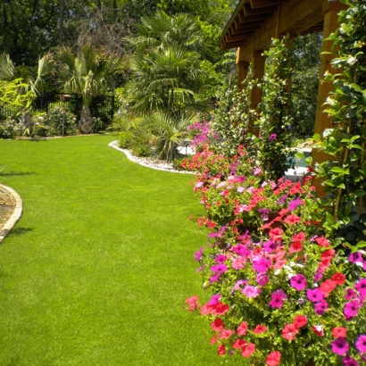 Artificial Grass Carpet El Cajon, California Landscape Rock, Backyard Design