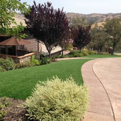 Artificial Grass Carpet Eucalyptus Hills, California Landscape Ideas, Front Yard Design