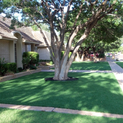 Artificial Grass Carpet Imperial Beach, California Landscape Ideas, Front Yard Landscaping Ideas