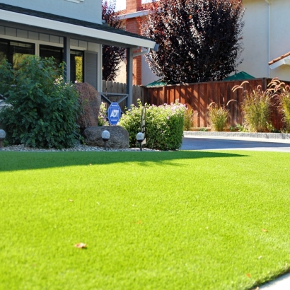 Artificial Grass Carpet La Jolla, California Home And Garden, Front Yard Landscaping