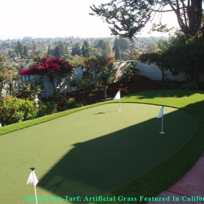 Artificial Grass Carpet Rancho San Diego, California Roof Top, Small Backyard Ideas