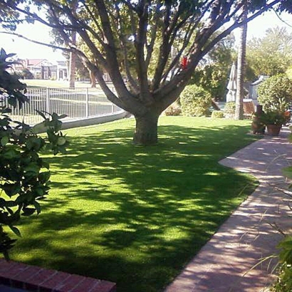 Artificial Grass Carpet San Marcos, California Landscape Rock