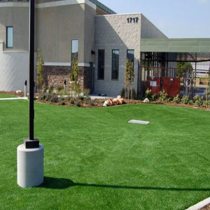 Artificial Grass Carpet Santee, California Roof Top, Commercial Landscape