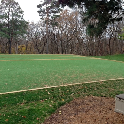 Artificial Grass Carpet Santee, California Backyard Soccer