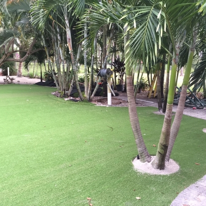 Artificial Grass Carpet Spring Valley, California Backyard Deck Ideas, Commercial Landscape