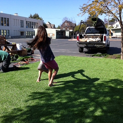 Artificial Grass Del Mar, California Garden Ideas, Commercial Landscape